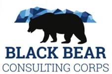 Black Bear